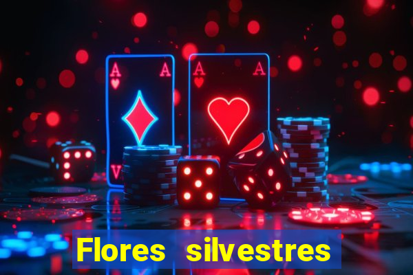 Flores silvestres brasileiras 25